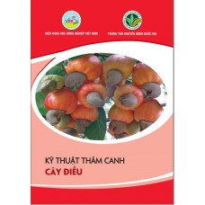 Kỹ thuật thâm canh cây điều 2017
